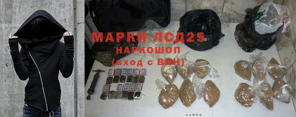 индика Татарск