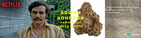 индика Татарск